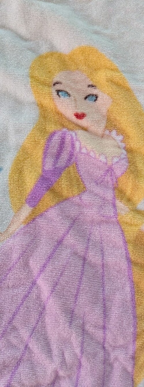 Pottery Barn Disney Princess Hooded Beach Towel - Excellent Condition - Picture 4 of 9